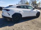 LAMBORGHINI URUS снимка