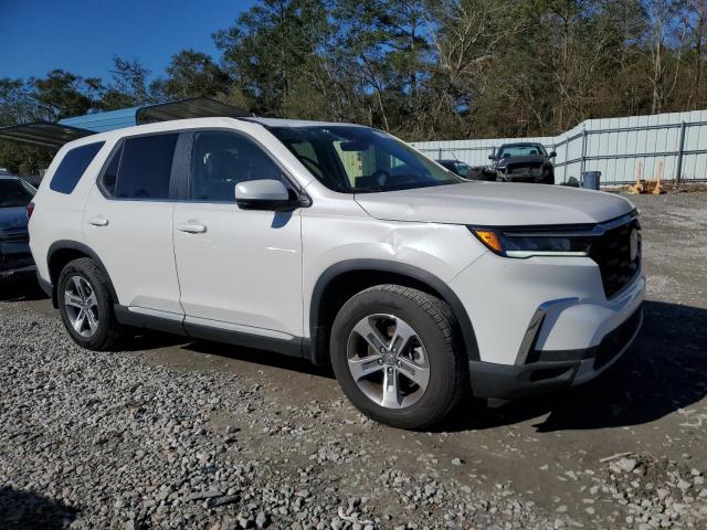 2024 HONDA PILOT EXL - 5FNYG2H40RB012987