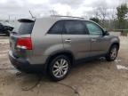 Lot #3024257823 2011 KIA SORENTO EX