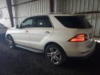 Lot #3030563832 2014 MERCEDES-BENZ ML 350