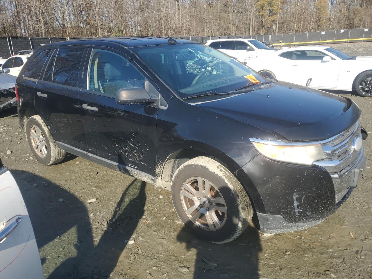 Lot #3023338246 2012 FORD EDGE SE