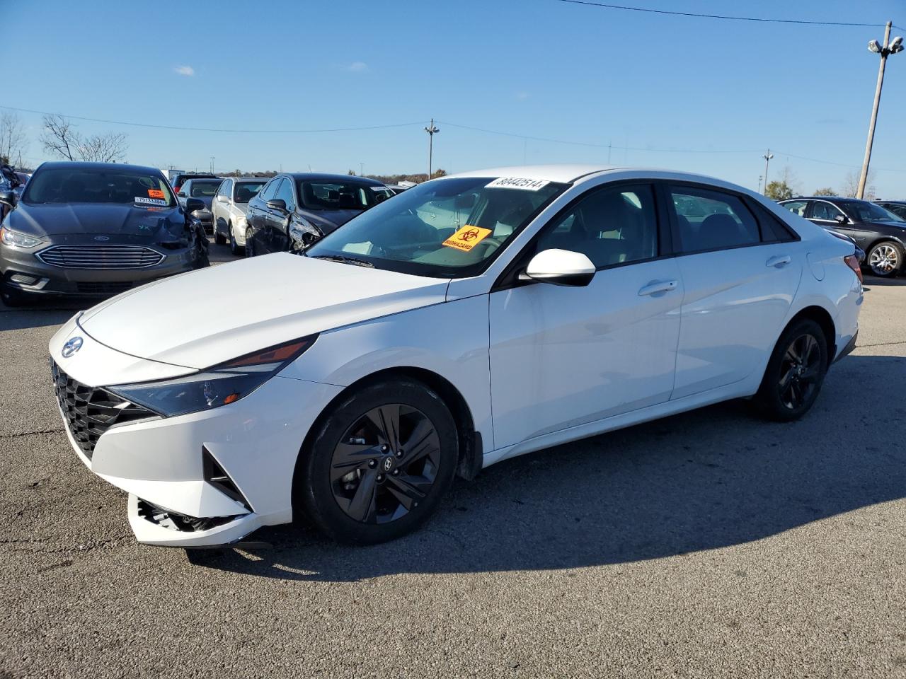 Lot #2970019884 2023 HYUNDAI ELANTRA SE