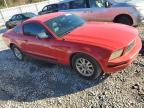 Lot #3024581642 2006 FORD MUSTANG