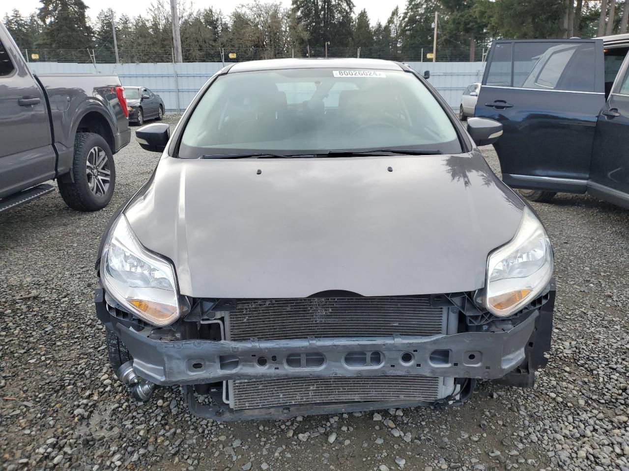 Lot #3036983742 2013 FORD FOCUS SE