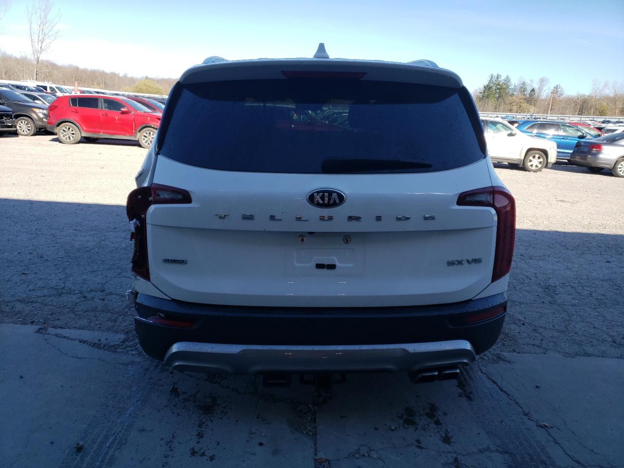 Lot #3009029326 2020 KIA TELLURIDE