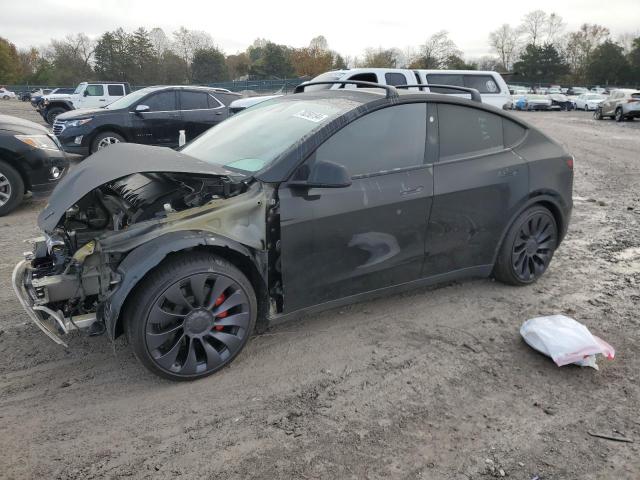 2024 TESLA MODEL Y #3042058186