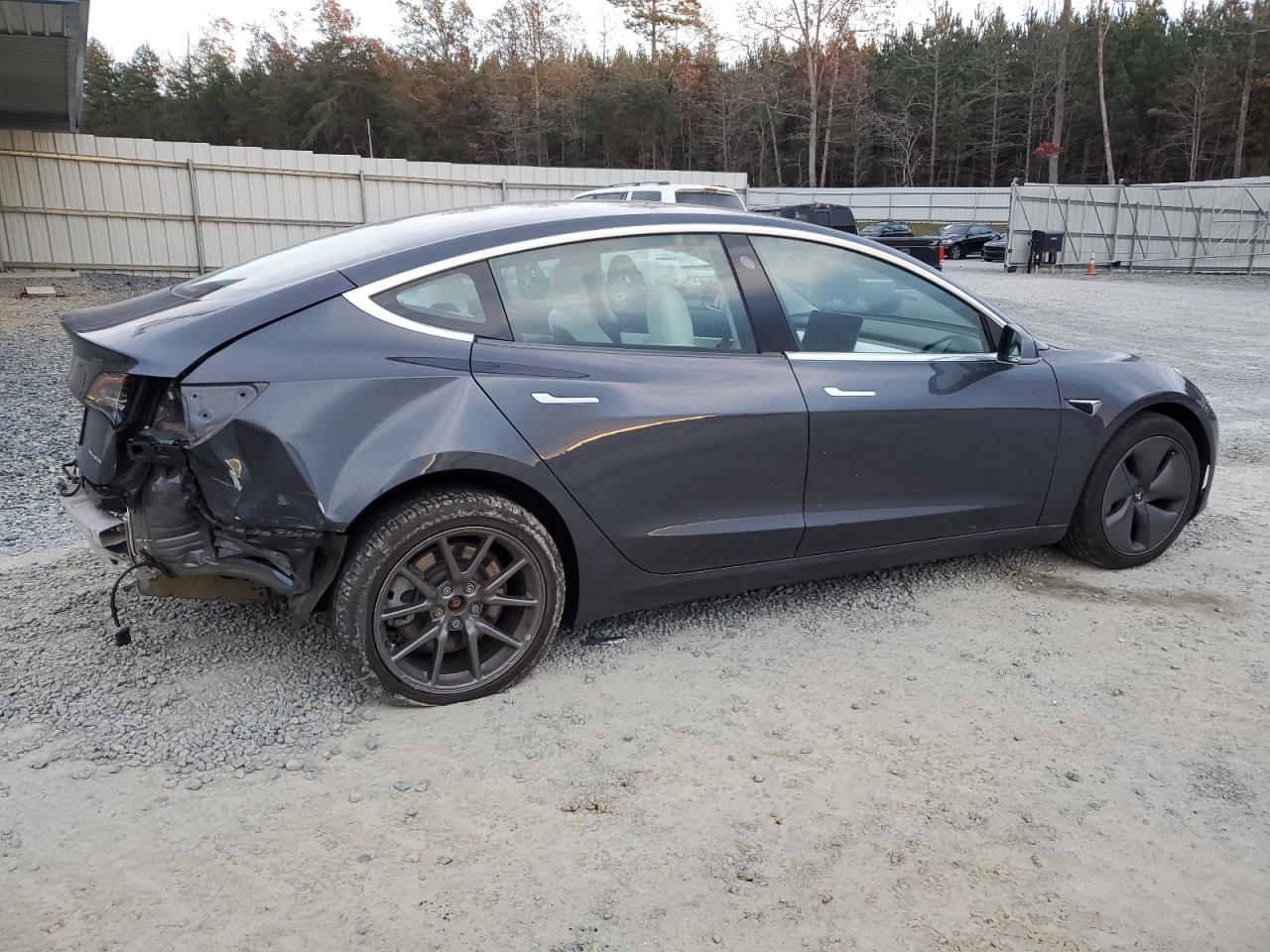 Lot #3024515421 2019 TESLA MODEL 3