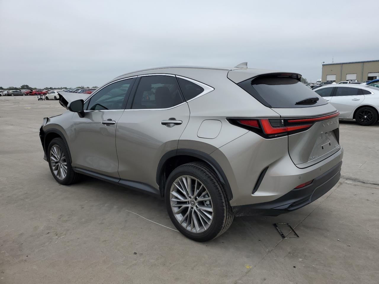 Lot #2970024930 2025 LEXUS NX 350 PRE