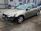 HONDA ACCORD EXL photo