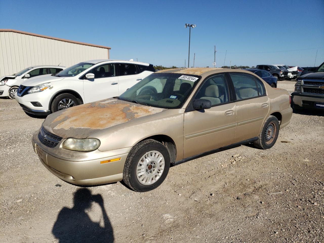 Lot #2977056900 2003 CHEVROLET MALIBU