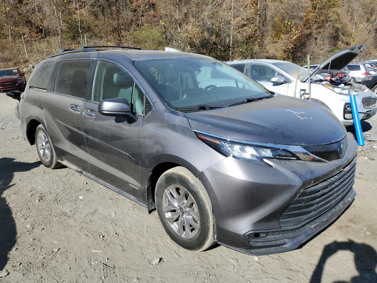 Lot #2959870337 2021 TOYOTA SIENNA XLE