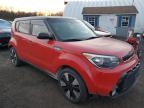 KIA SOUL + photo