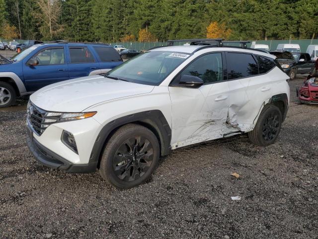 VIN KM8JFCAE2PU192387 2023 HYUNDAI TUCSON no.1