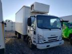 ISUZU NPR XD photo