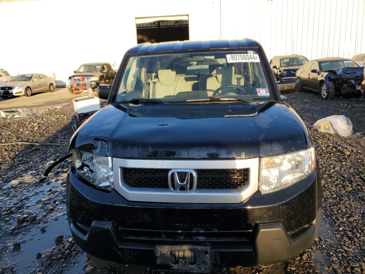 Lot #2995842501 2010 HONDA ELEMENT EX