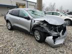 Lot #3027178288 2024 FORD ESCAPE ACT