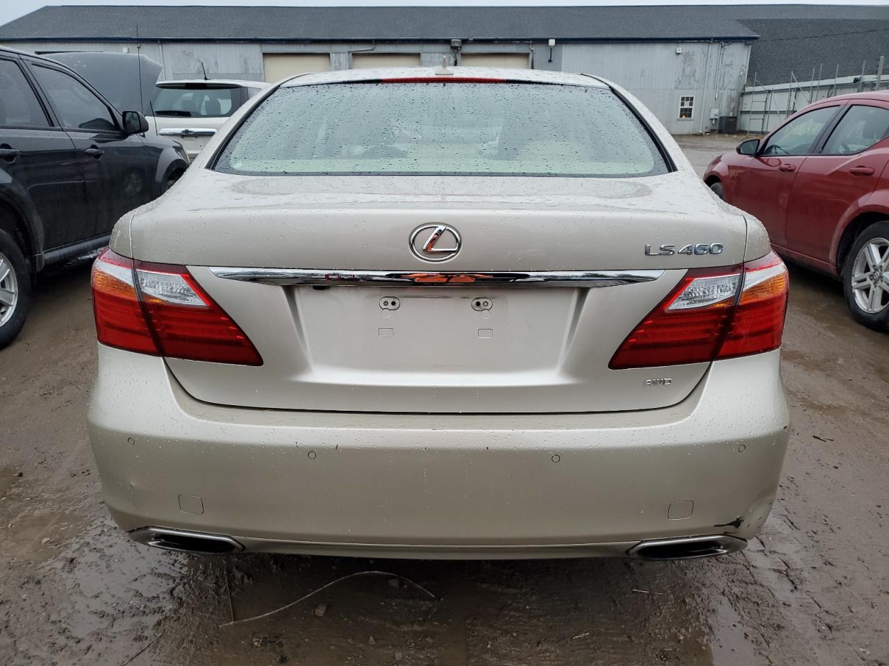 Lot #3020929723 2011 LEXUS LS 460