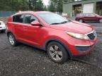 Lot #2996806864 2011 KIA SPORTAGE L