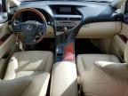 Lot #3023983266 2010 LEXUS RX 350