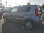 KIA SOUL + photo