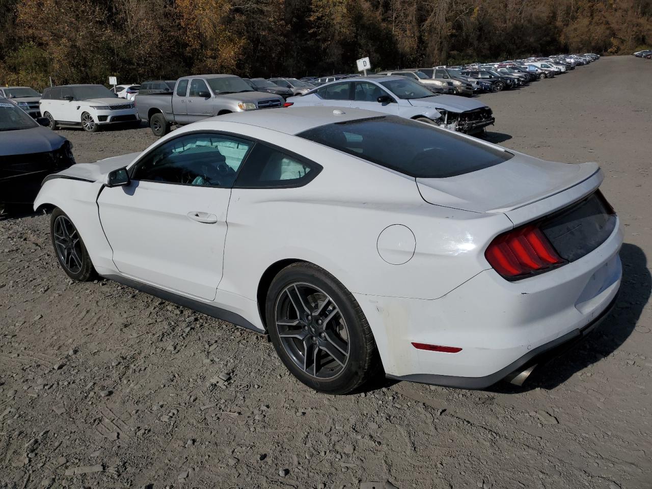 Lot #2954649408 2020 FORD MUSTANG