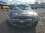 CHEVROLET MALIBU LS photo