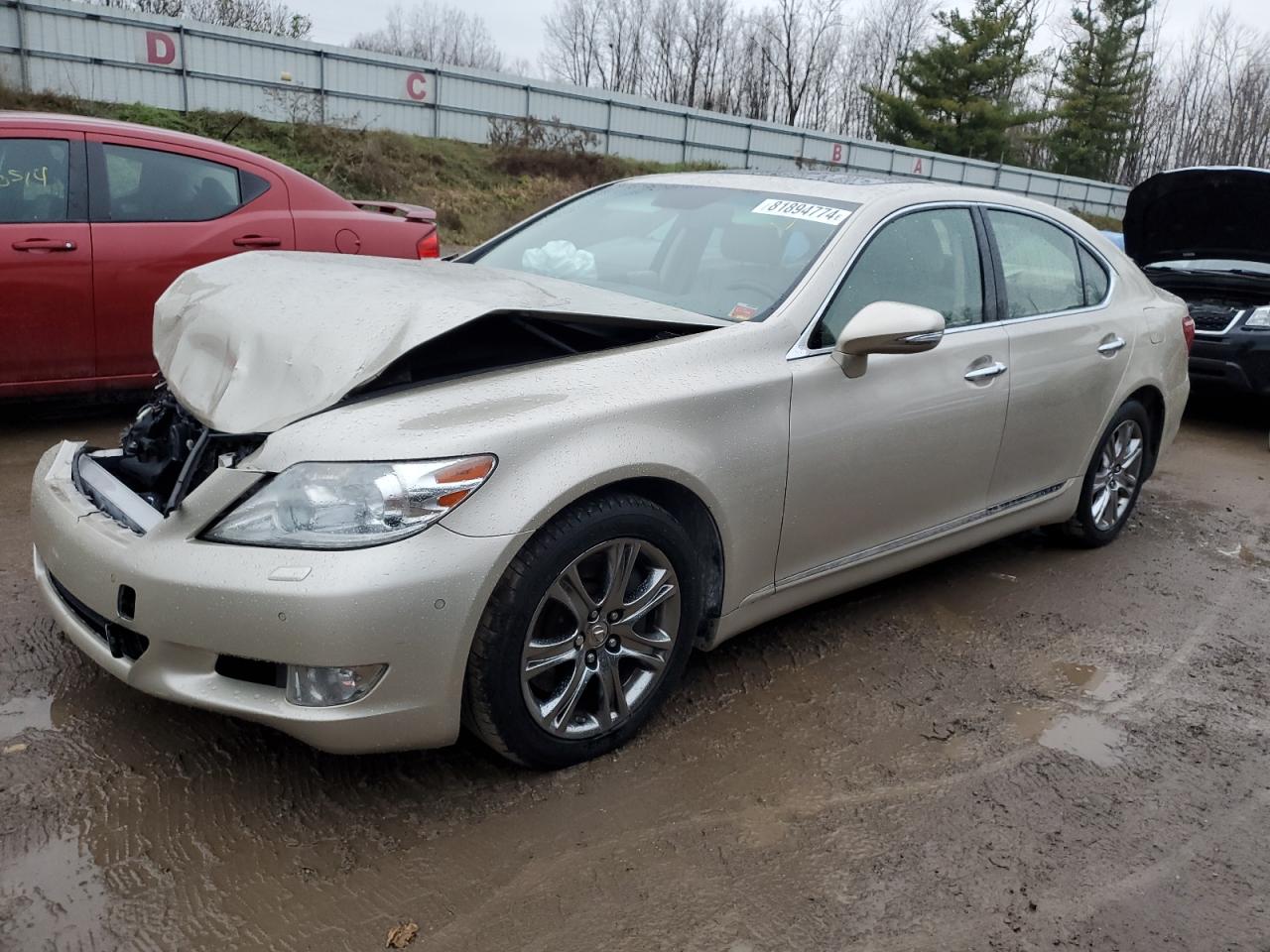 Lot #3020929723 2011 LEXUS LS 460