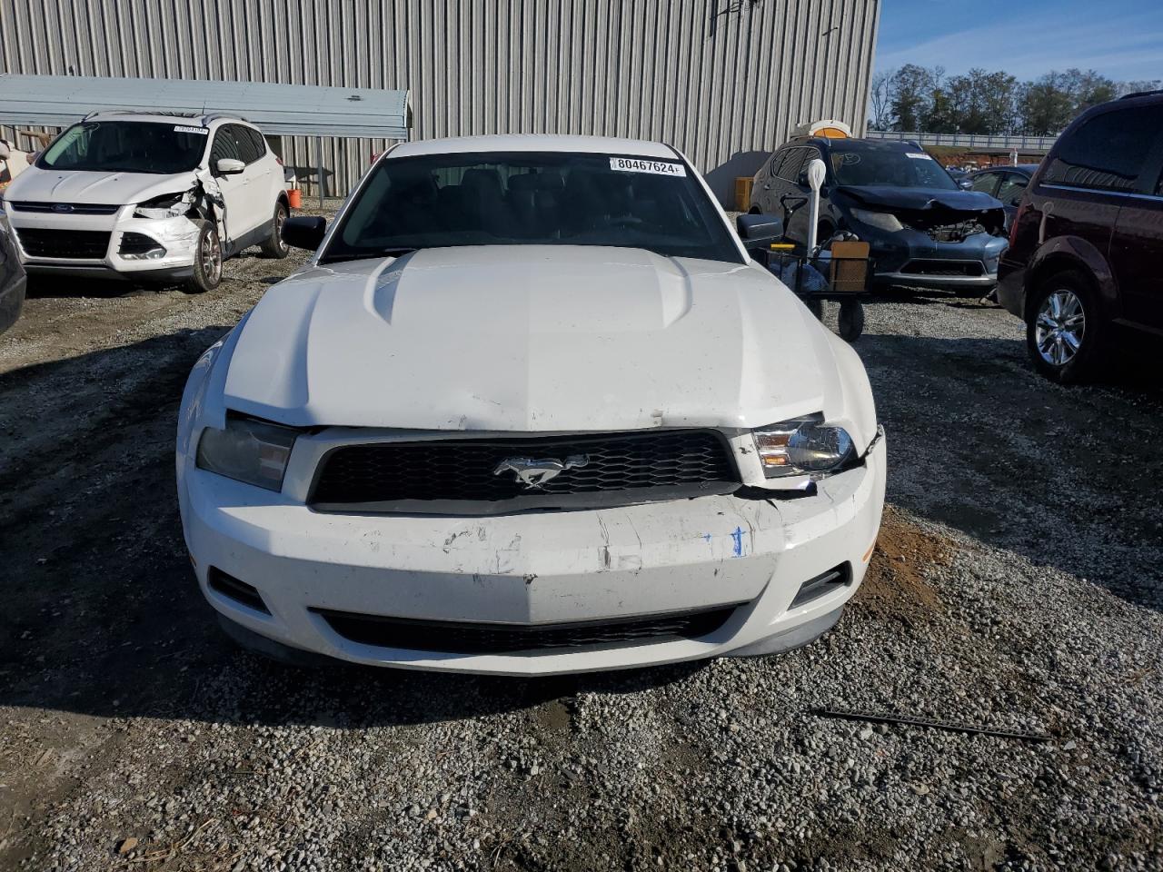 Lot #2986406188 2012 FORD MUSTANG