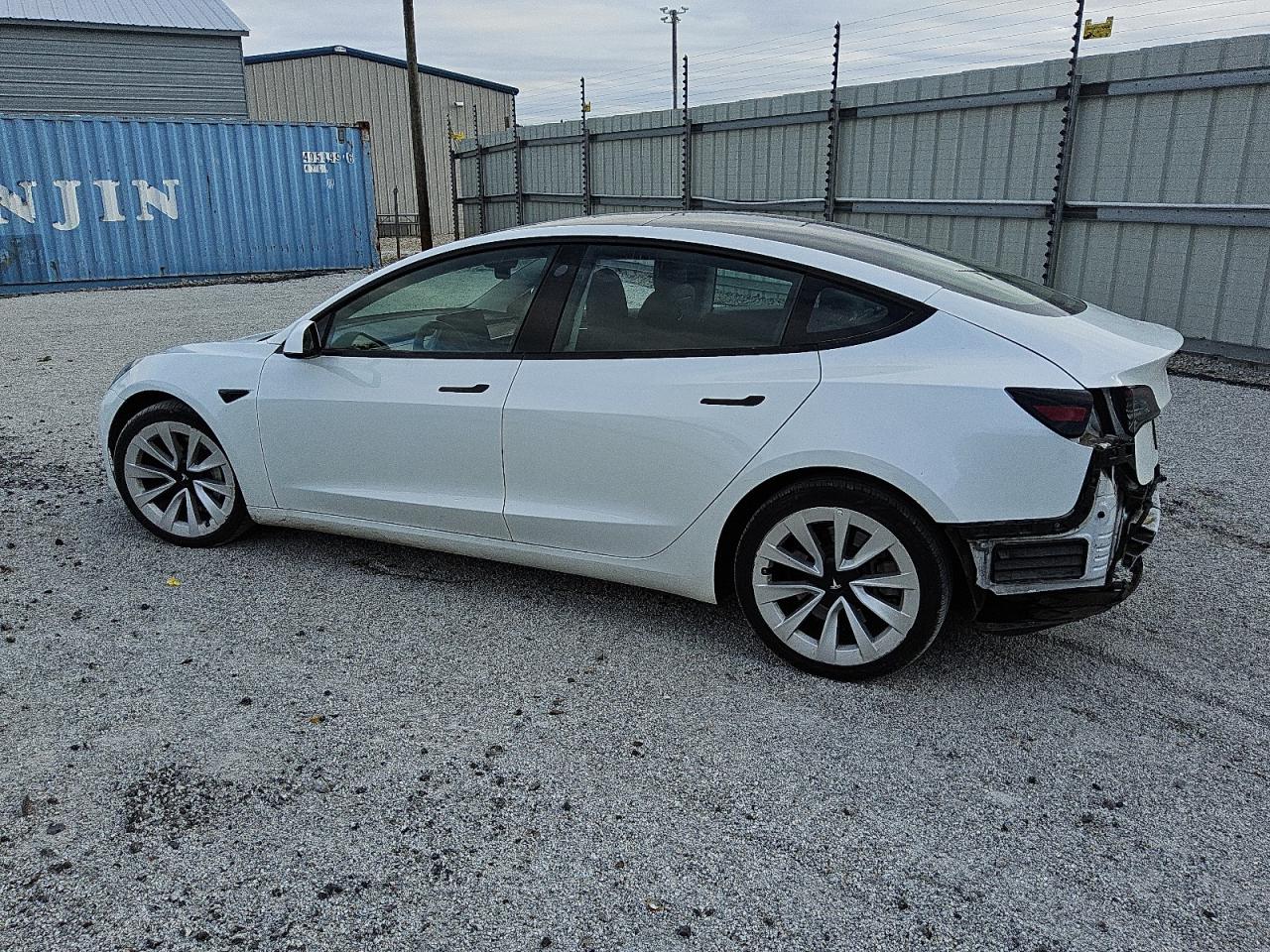 Lot #2991303117 2023 TESLA MODEL 3