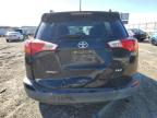 TOYOTA RAV4 XLE photo