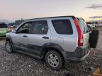 Lot #3024505430 2003 HONDA CR-V EX