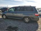 HONDA ODYSSEY EX 5FNRL387X5B060734 photo