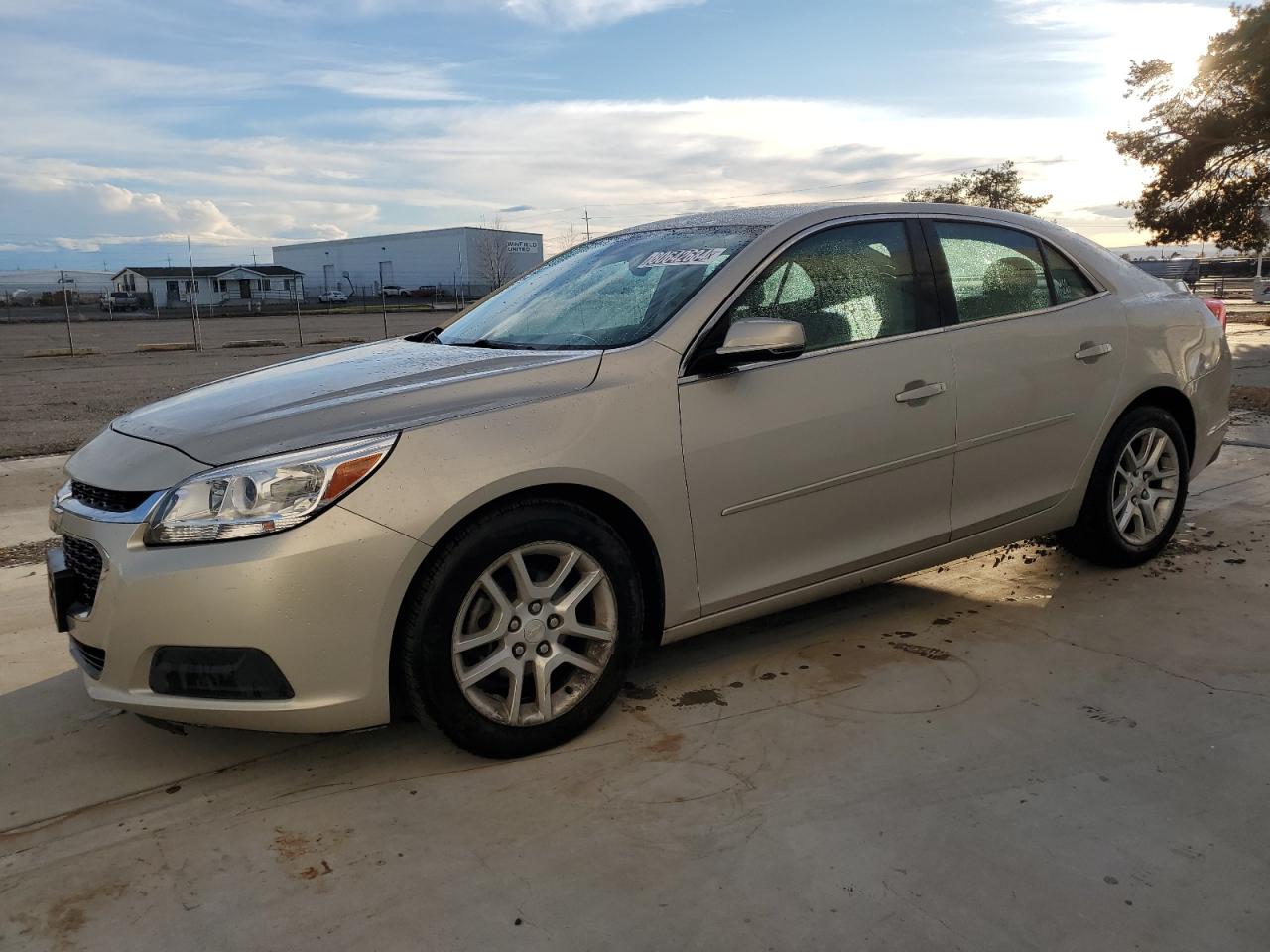 Lot #3033060017 2014 CHEVROLET MALIBU 1LT