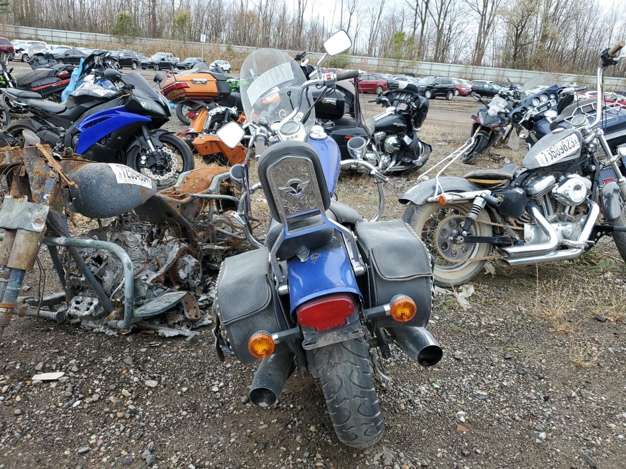 Lot #2954566245 2005 KAWASAKI EN500 C