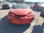 Lot #2986184162 1999 PONTIAC FIREBIRD