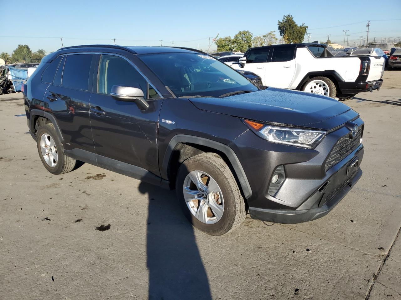 Lot #2996126404 2021 TOYOTA RAV4 XLE