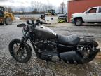 Lot #3029417701 2020 HARLEY-DAVIDSON XL883 N