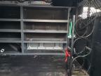 FORD TRANSIT T- photo