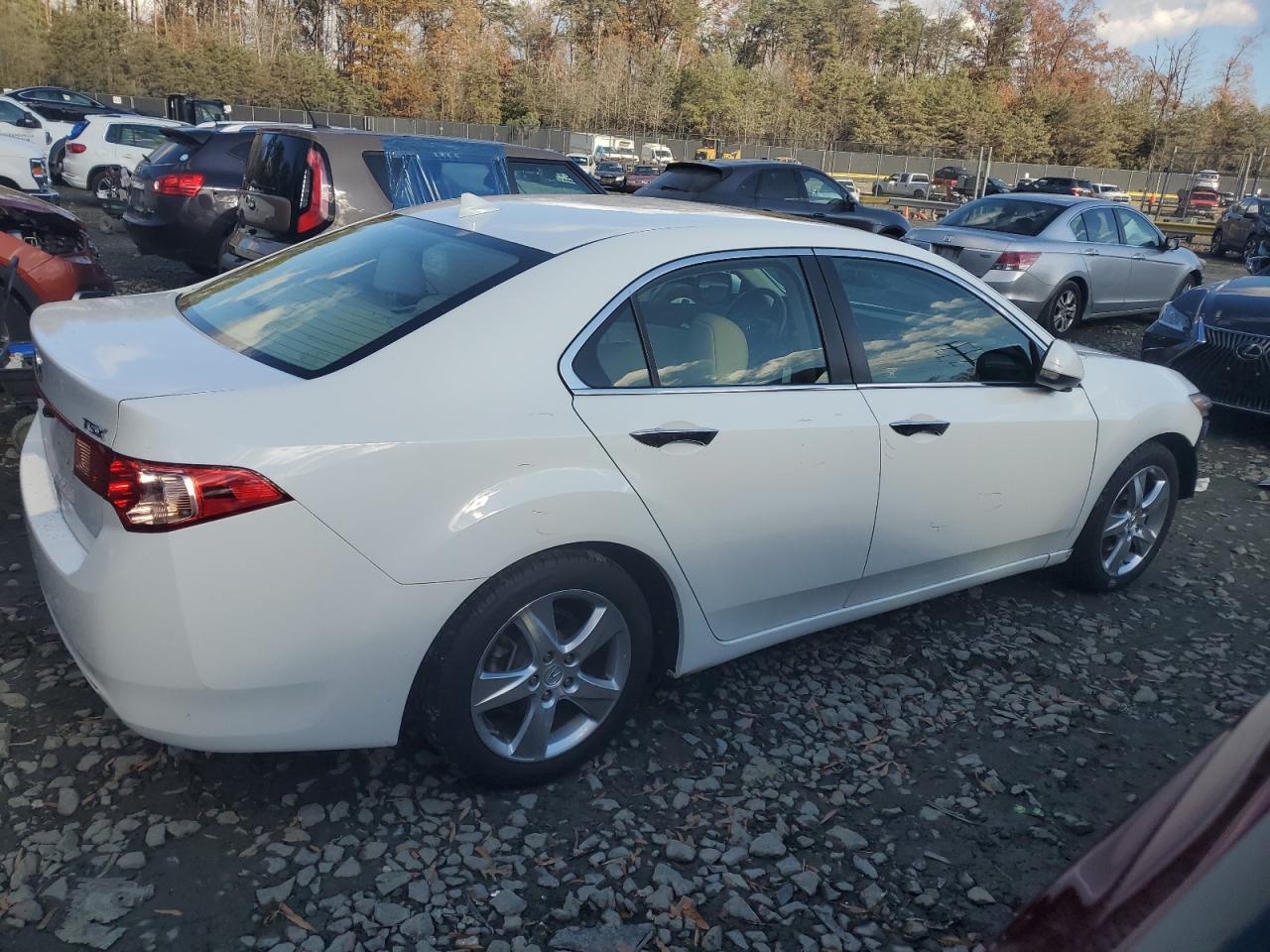 Lot #2978740930 2012 ACURA TSX