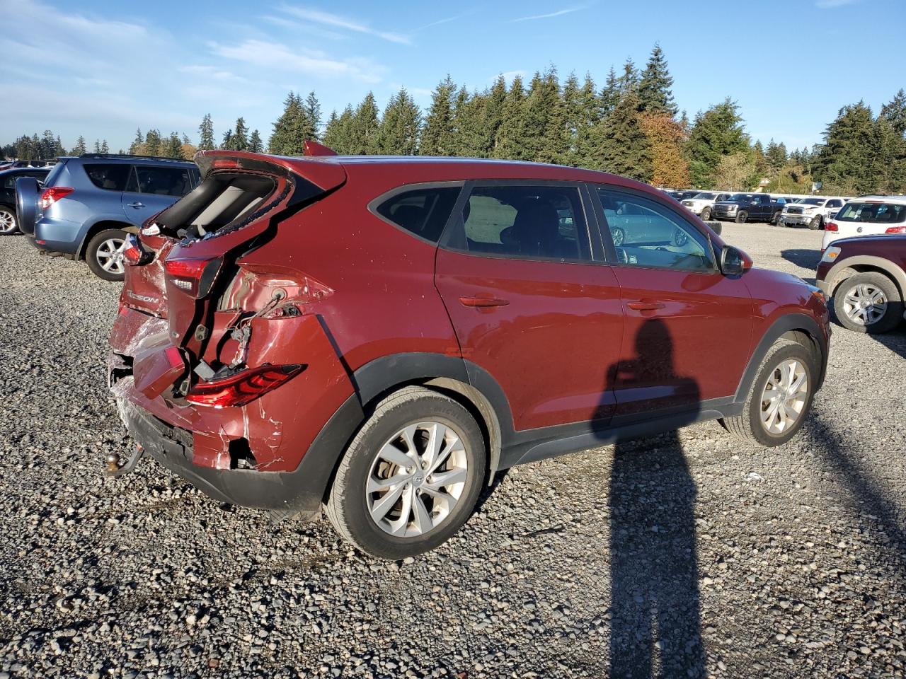 Lot #2989393597 2020 HYUNDAI TUCSON SE