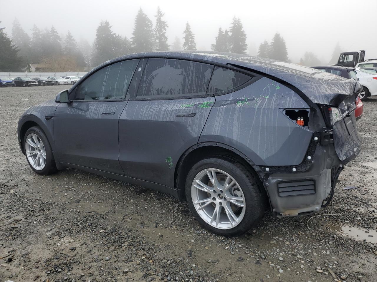 Lot #2986948996 2023 TESLA MODEL Y