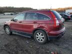 HONDA CR-V EXL photo