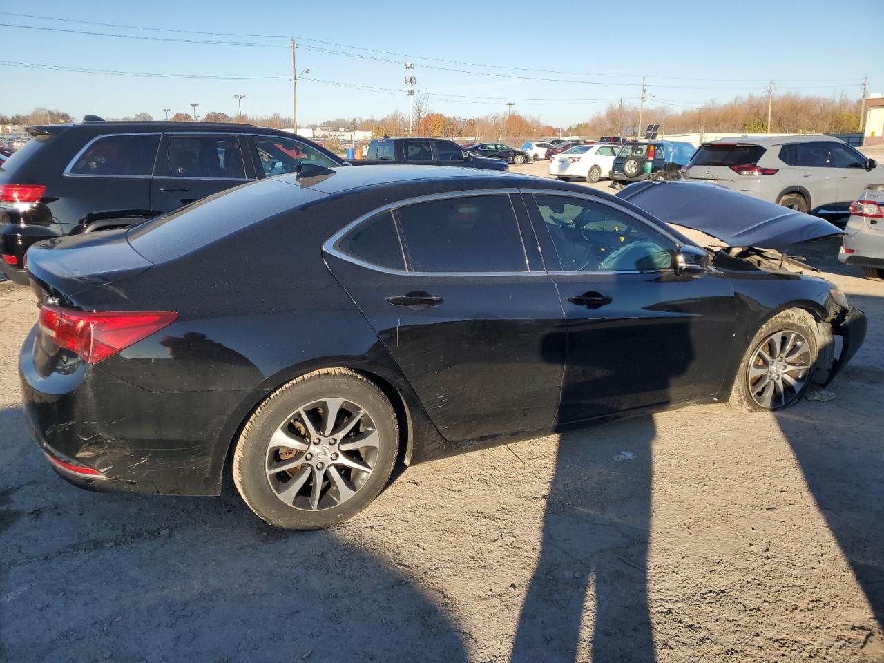 Lot #3023390239 2015 ACURA TLX