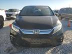 Lot #3024328060 2019 HONDA ODYSSEY EX