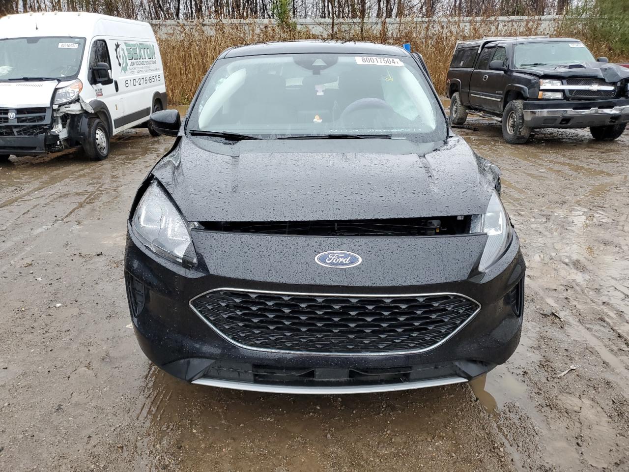 Lot #3024944374 2021 FORD ESCAPE SE