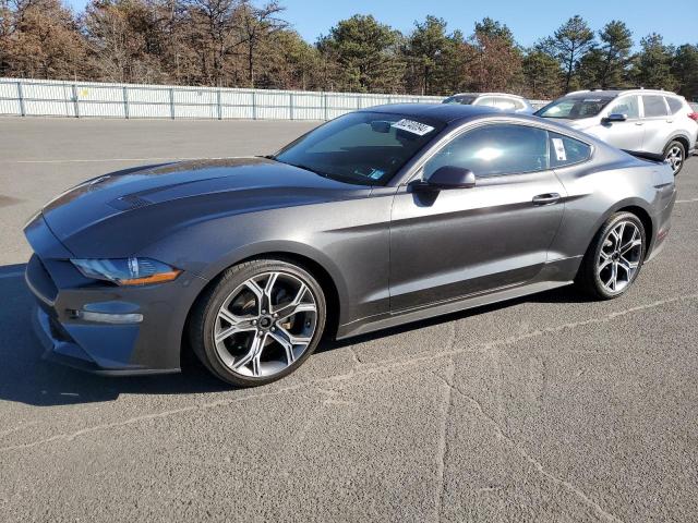 VIN 1FA6P8TH5K5105926 2019 Ford Mustang no.1