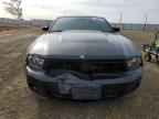 Lot #3025183245 2010 FORD MUSTANG