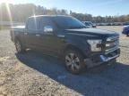 Lot #3041901848 2016 FORD F-150