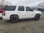 Lot #3024608671 2008 GMC YUKON DENA