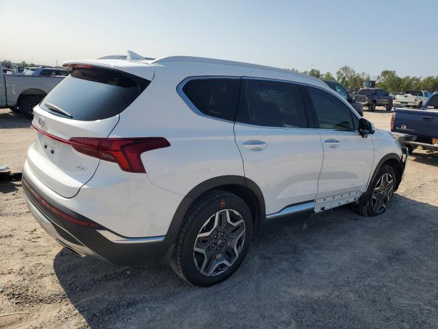 2023 HYUNDAI SANTA FE L - 5NMS44AL1PH559158